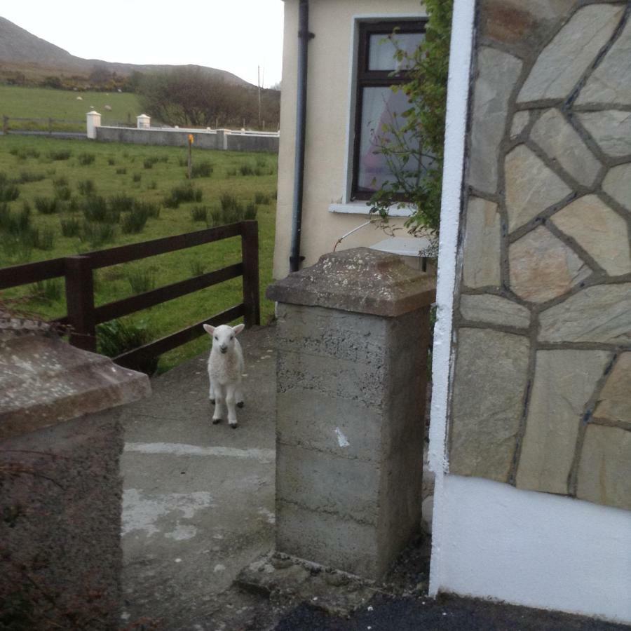 Sea View Chalet Kilsallagh Westport Co Mayo 外观 照片